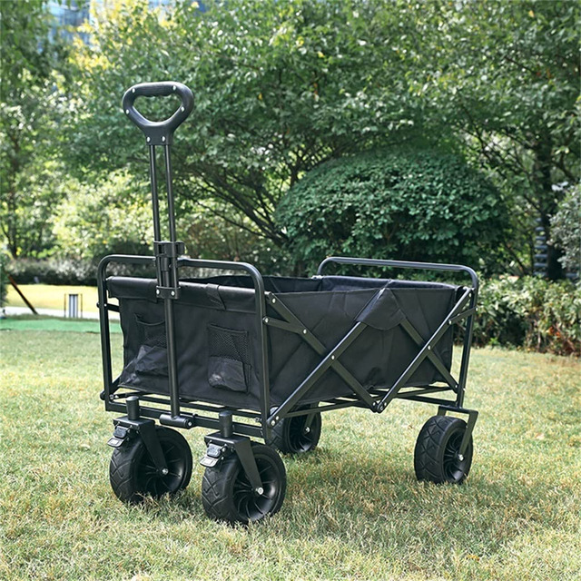 Carro De Transporte