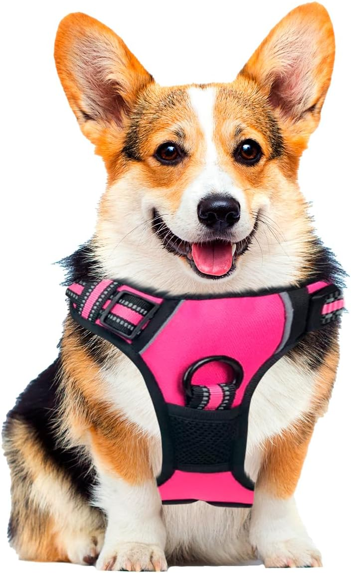 Pechera para Perro Mediano