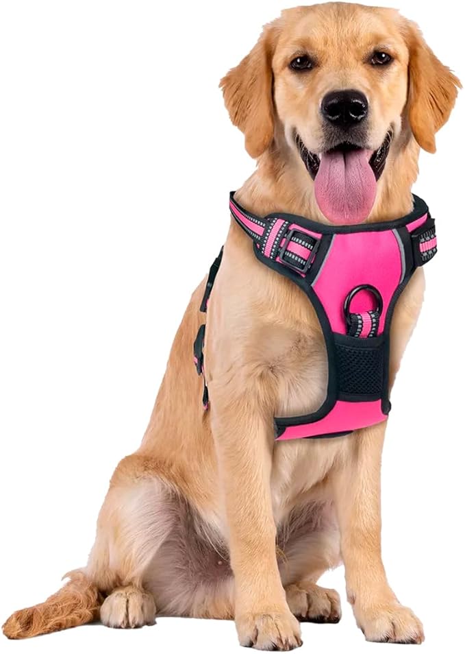 Pechera Arnes para Perro Grande Mediano Chico