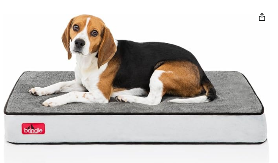 Cama para Perro