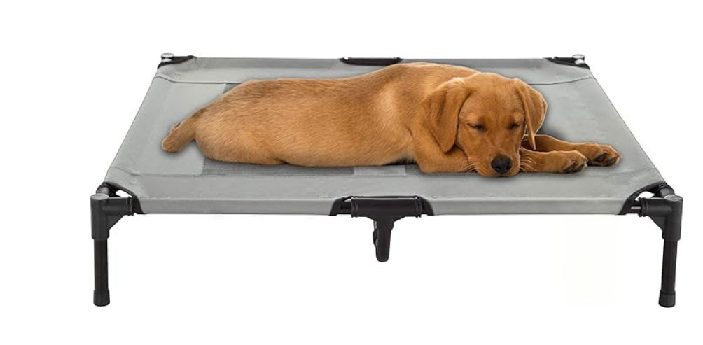 Cama elevada para Perros