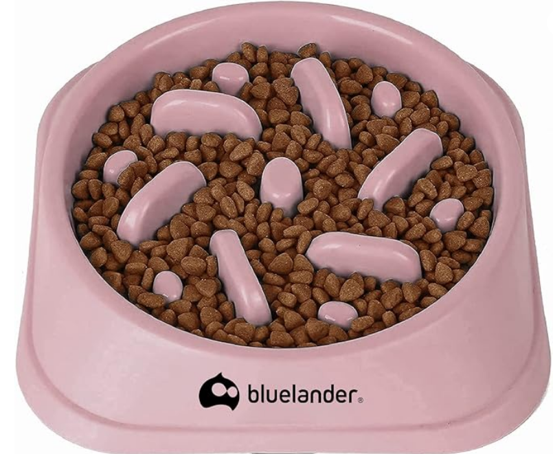 Plato para Perro