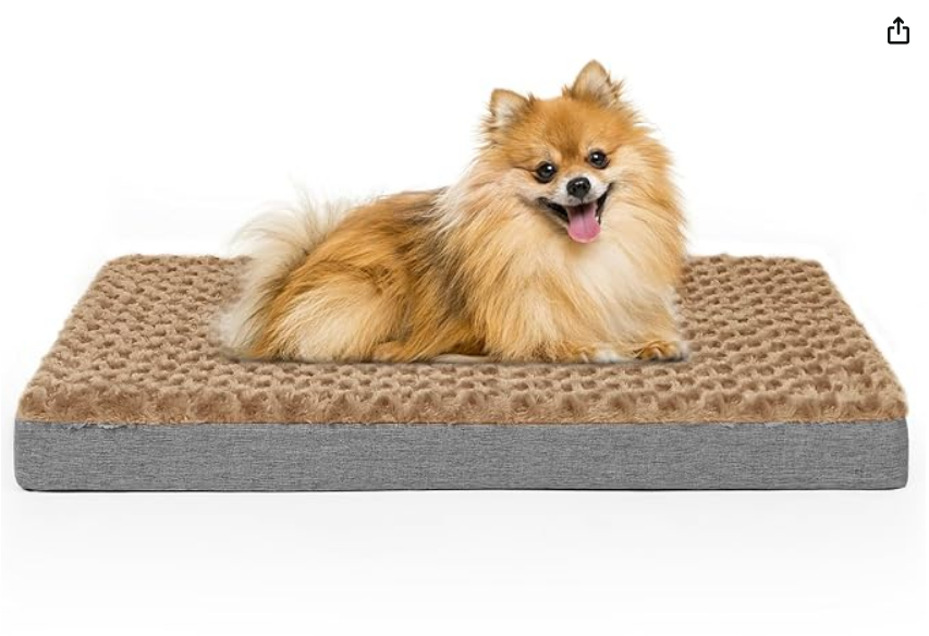 Cama Ortopédica para Perros