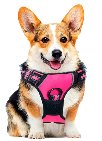 Pechera Arnes para Perro