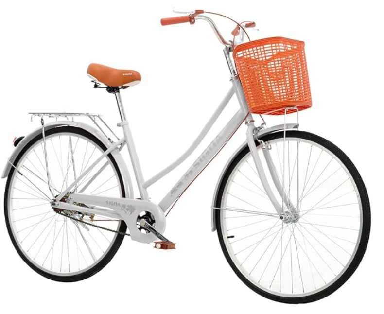 Bicicleta Urbana Rodada 26