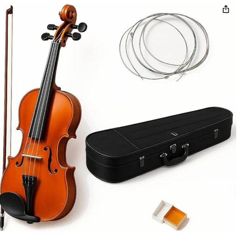 Violín 4/4 con Arco