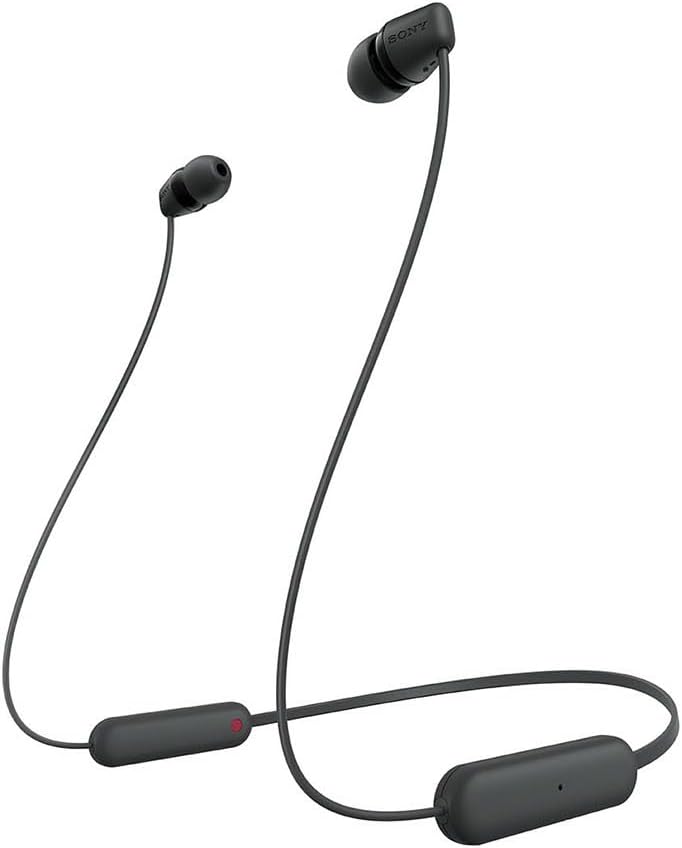 Sony WI C100