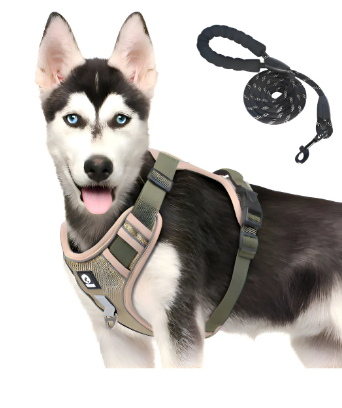 Pechera Arnés De Seguridad Para Perro