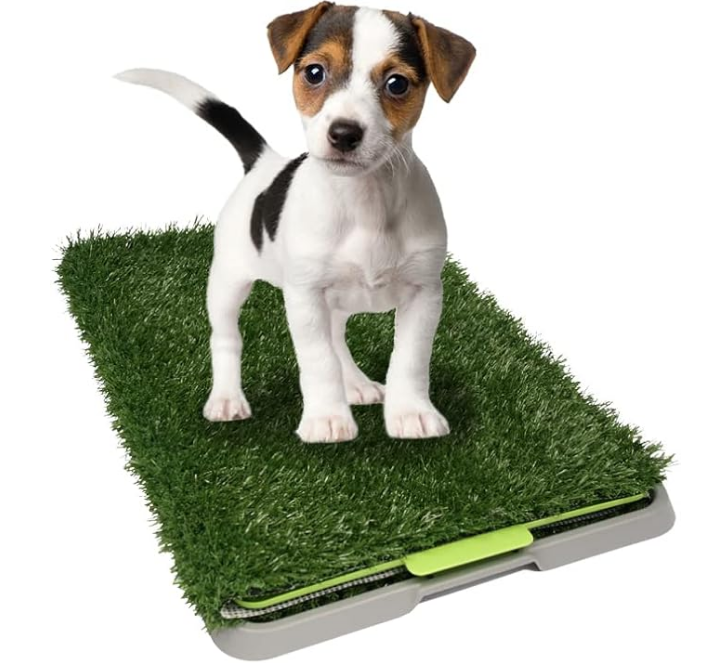 Tapete Entrenador Doggie