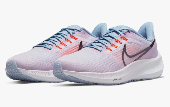 Nike Pegasus 39