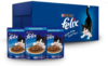 Purina Felix Adulto